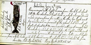 log book entry 1856